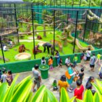 Urlaub Singapur • Singapore Zoo (Sehenswürdigkeiten)